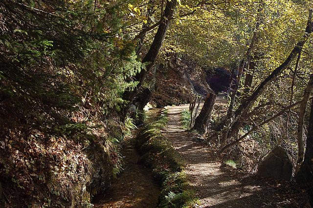 Waalwege Meran im Herbst